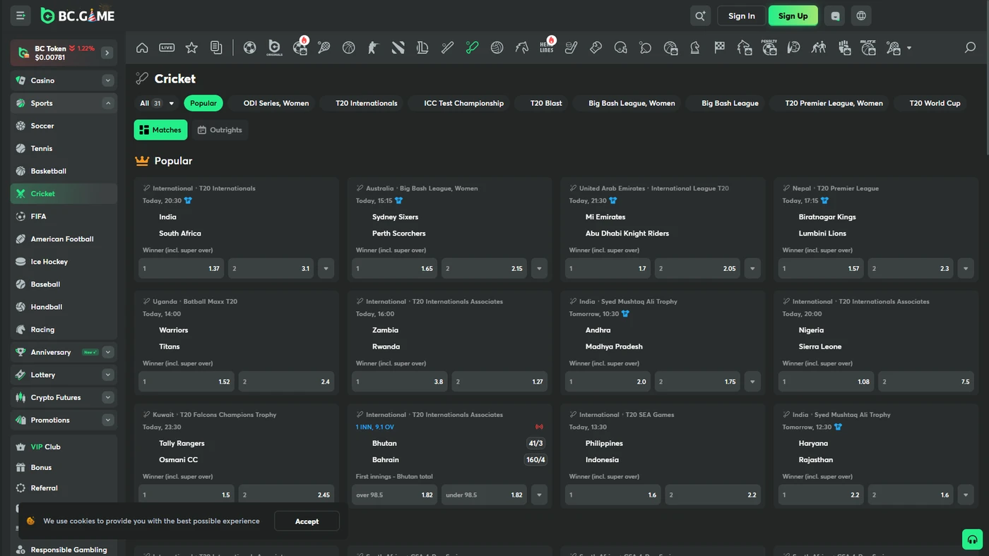 BC.GAME India platform showing cricket betting and crypto payment options