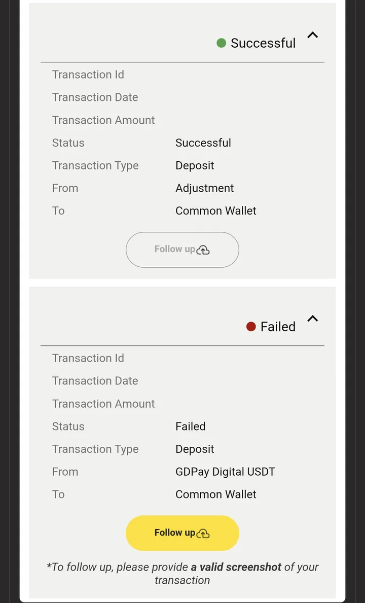 Two history entries: a deposit From Adjustment marked Successful, and a GDPay Digital USDT deposit marked Failed