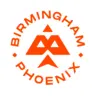 Birmingham Phoenix cricket team logo