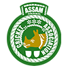 ASM logo