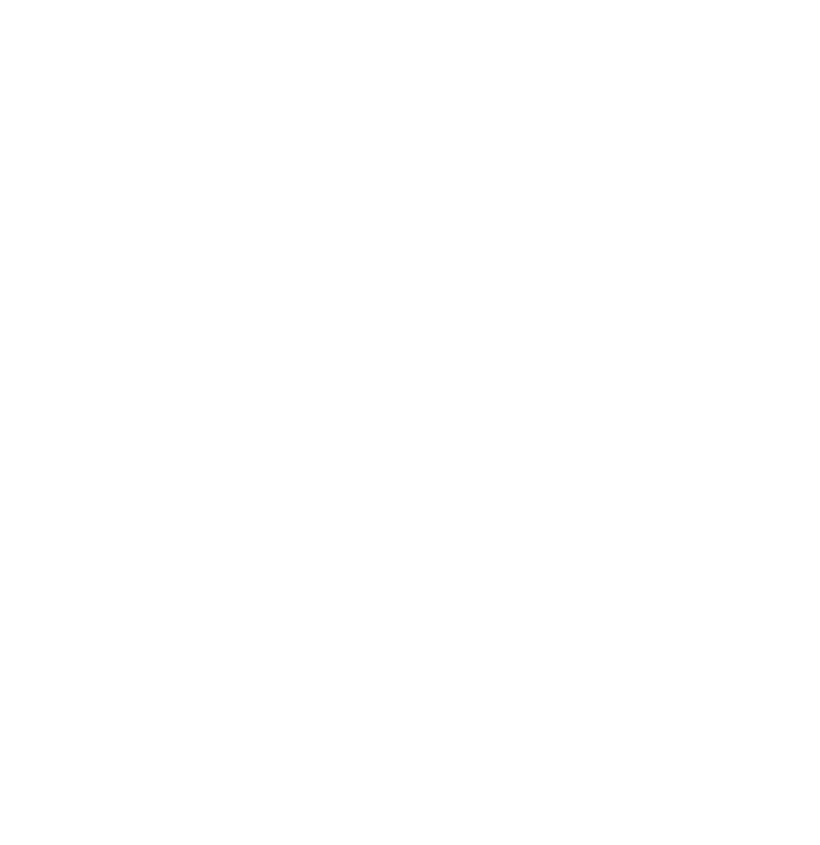 OTAGO logo
