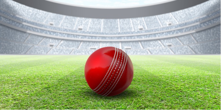 Cricket ball on field