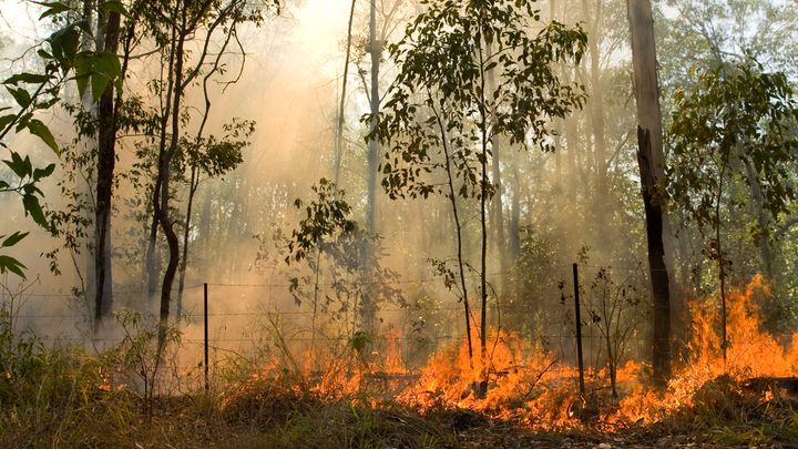 The long lasting bush fire has been devastating for Australia as a nation