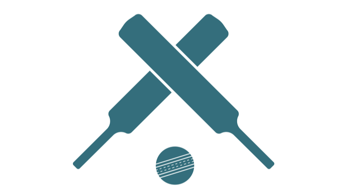 Cricket bat